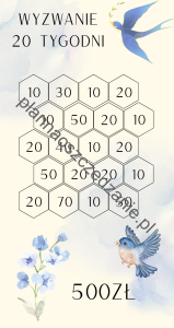 Wyzwanie 20 Tygodni