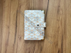 Segregator Budżetowy –geometryczny 