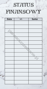 Status Finansowy A6